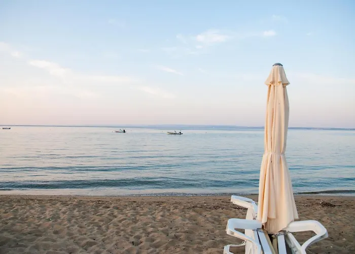 Alexger House View *